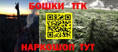 индика Тара