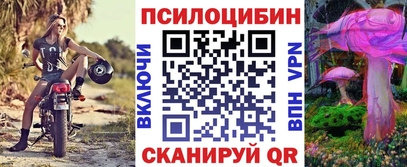 Псилоцибиновые грибы Psilocybine cubensis  Смоленск 